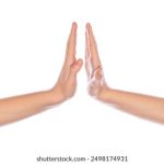 探索Gizmodo与TikTok的完美结合:科技与创意的交汇 zczjfin